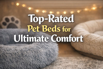 Top-Rated Pet Beds for Ultimate Comfort